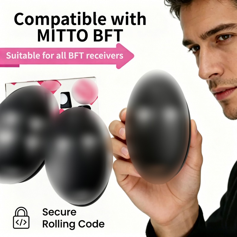Remote Control MITTO 2 4 KLEIO - Switch Opener Tool review and price